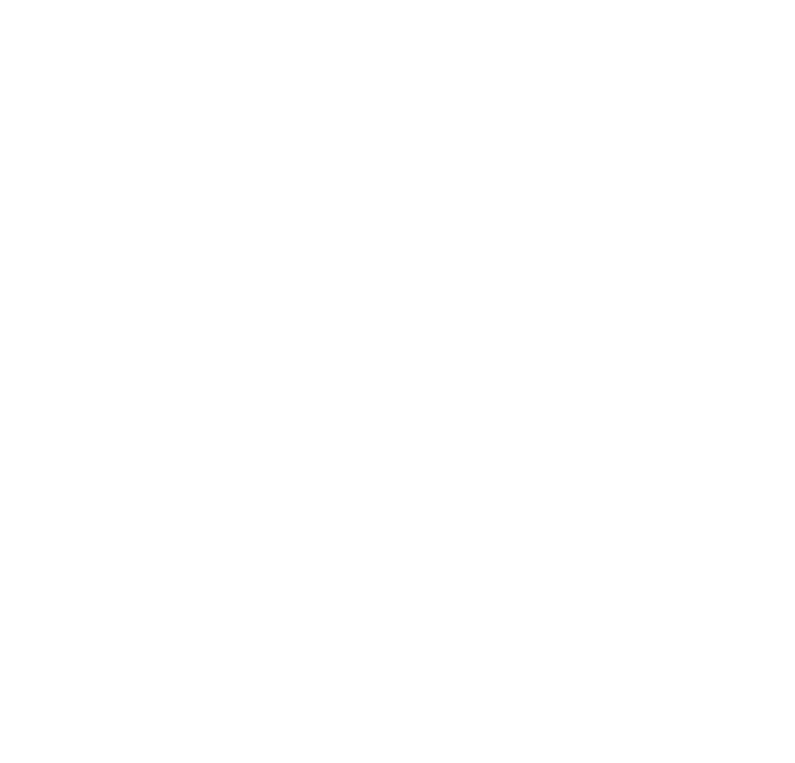 MINT Shop Logo